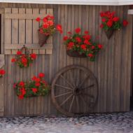 Cartwheel Wall Floral Decoration