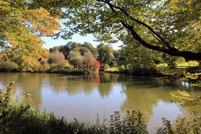 pond in autumn park on a sunny day