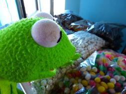 Kermit Frog toy Shopping