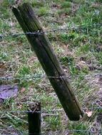 broken wooden fence post with barbed wire