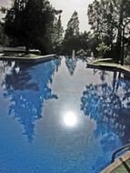 trees and sun mirroring on Pool