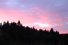 a hill with trees against a purple sky during sunset