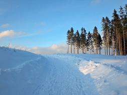 landscape of Wintry Resin Snow