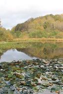 Lake Denmark Pond