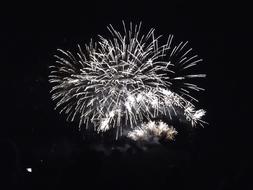 white fireworks against the black sky