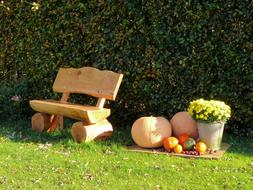 Beautiful and colorful landscape with the wooden bench near the autumn harvest and plants, in sunlight and shadow