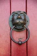 Close-up of the shiny metal lion doorknocker on the red, wooden door