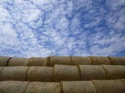 stacked bales of straw on a field under a clear sky