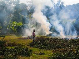 farmer burns autumn leaves