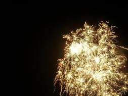 Annual Fireworks Sylvester