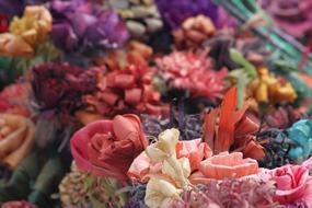 incredibly beautiful Paper Color flowers