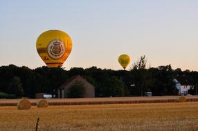 Colorful, flying hot air balloons, above the colorful field and trees, at colorful and beautiful, gradient sunset