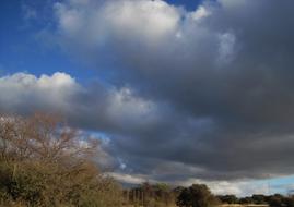 Landscape with the colorful plants, under the blue sky with dark clouds