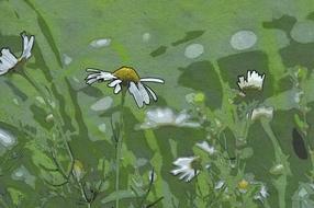 digital art of chamomile on green field