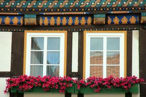 house Truss Windows