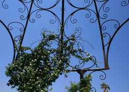 Garden Feature Metal Cage