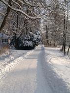 walkway Snowy Park