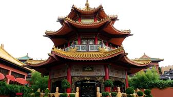 Pagoda China Far East park