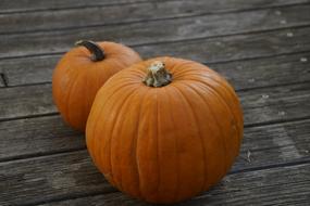 autumn Pumpkins Orange