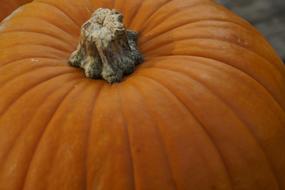 Orange Pumpkin structure