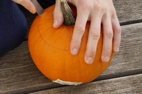 Pumpkins Orange and hand