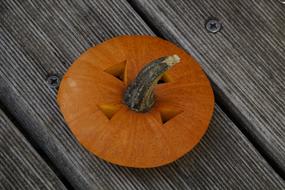 seasonal Orange Pumpkin