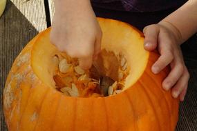 Orange Pumpkin scrape