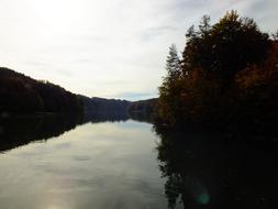 trees by the lake in the evening