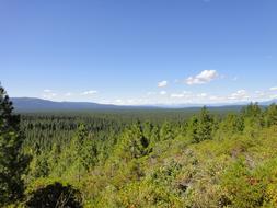 Shasta Blue sky