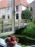 Still Life Farmhouse Window