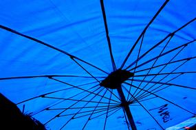 Blue Eastern Parasol