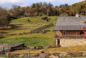 Farm Pastures Fields