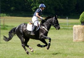 Ride Horse man