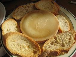 Cheese and Bread