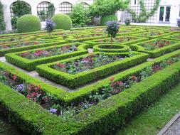 green Labyrinth Garden