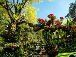 Park Blumenlanschaft Flowers Old