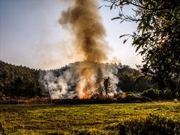 big bonfire in the meadow on a sunny day