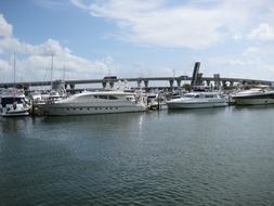 Boats in the port of Miami, USA, under the blue sky with white clouds