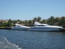 white luxury yachts off the coast of miami