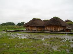 Thatched Roofs Farmhouse Museum