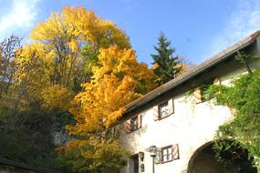 AltmÃ¼hl Valley Breitenbrunn