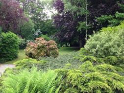 Park Garden in Drenthe