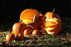 autumn decoration, orange pumpkins and star