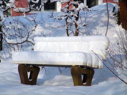 Snowy Bank at Winter