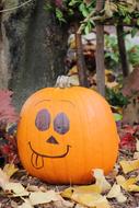 Pumpkin with funny face, Halloween decoration