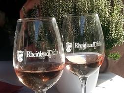 Palatinate Wine Rose glasses