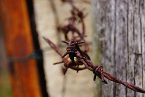 rusty barbed wire on the fence