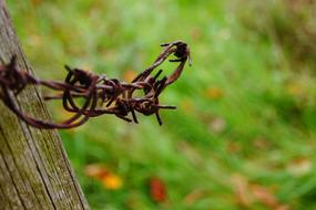 old Barbed Wire Verrostst Fence