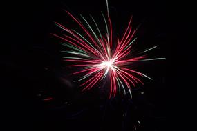 Fireworks Nights pink Lights