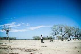 man among the trees in the desert in sri lanka